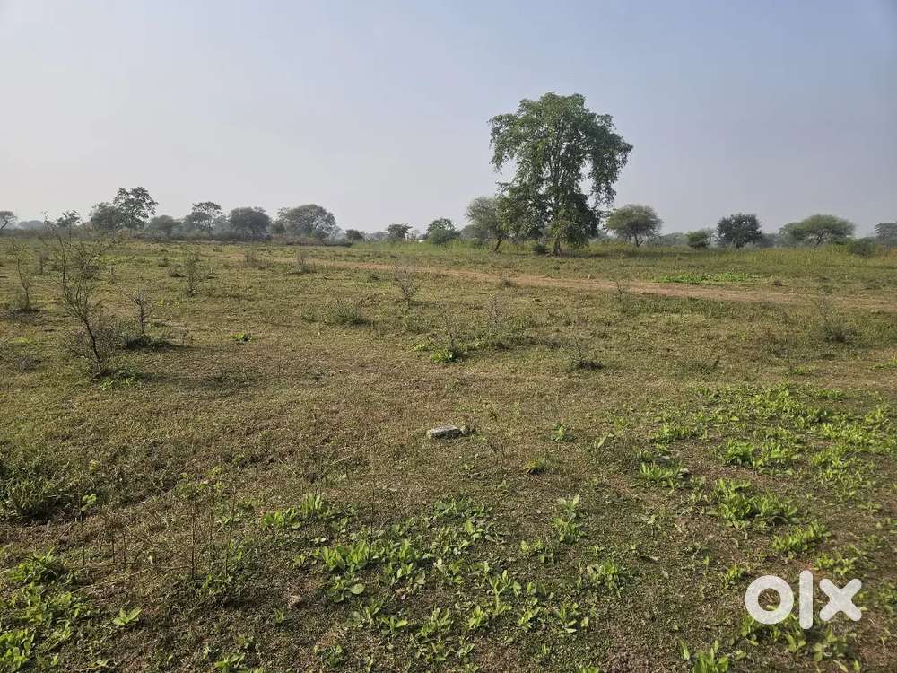 durg nagpura road se 500 meter andar suitable for form hous