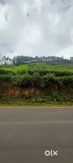 54 Cents of Prime Land for sale at Kotagiri