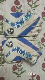 SG Brand Wicket Keeper gloves along with the keeper pads