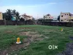 Maraimalainagar DTCP Approved villa plots  sales@3100Rs Per sqft