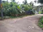 Angamaly town 1.5 km mc road 500 mtr 7 cent original land tar road