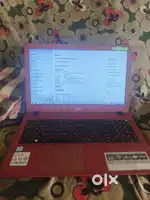 Red Dragon Acer  for sale
