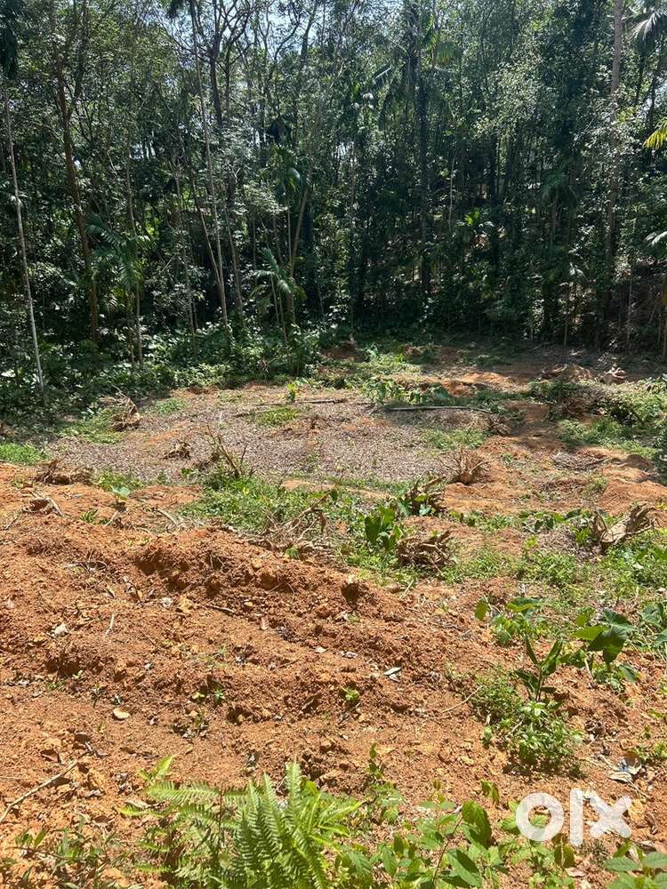 25 cent dry land for sale (1.15 lack per cent)