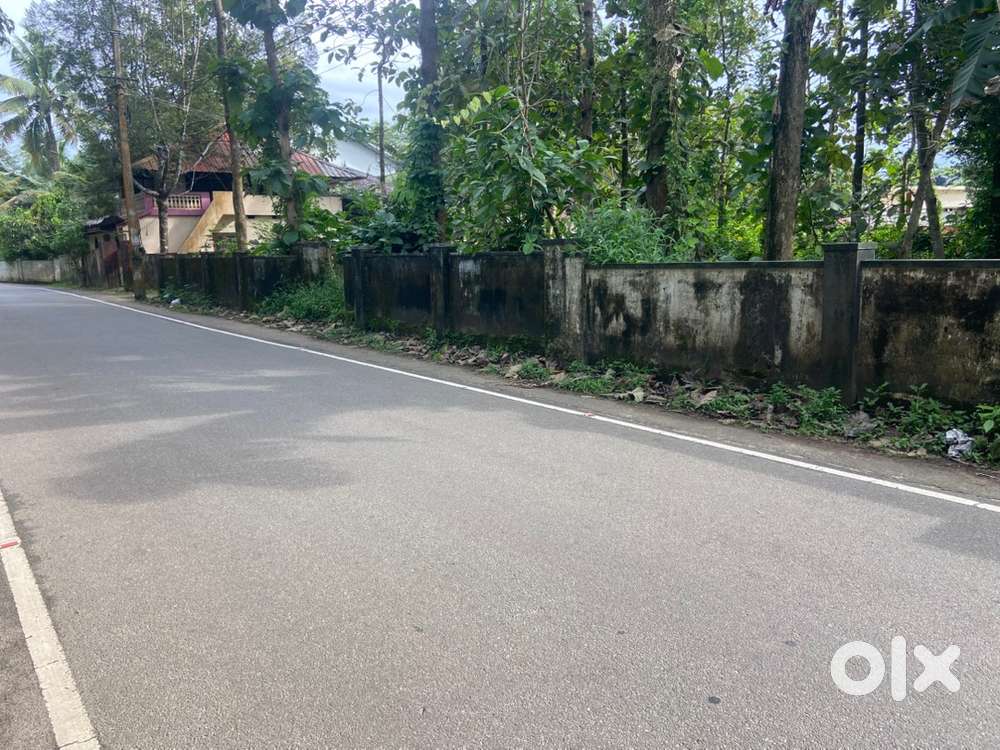 ETTUMANOOR.     TOWN