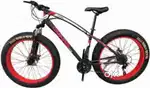 Bravo maintain Fat Bike