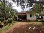 15 cents land with a small house(old)