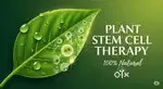 Plant stem cells therapy