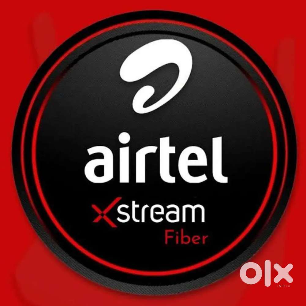 Any plan 1500/- only