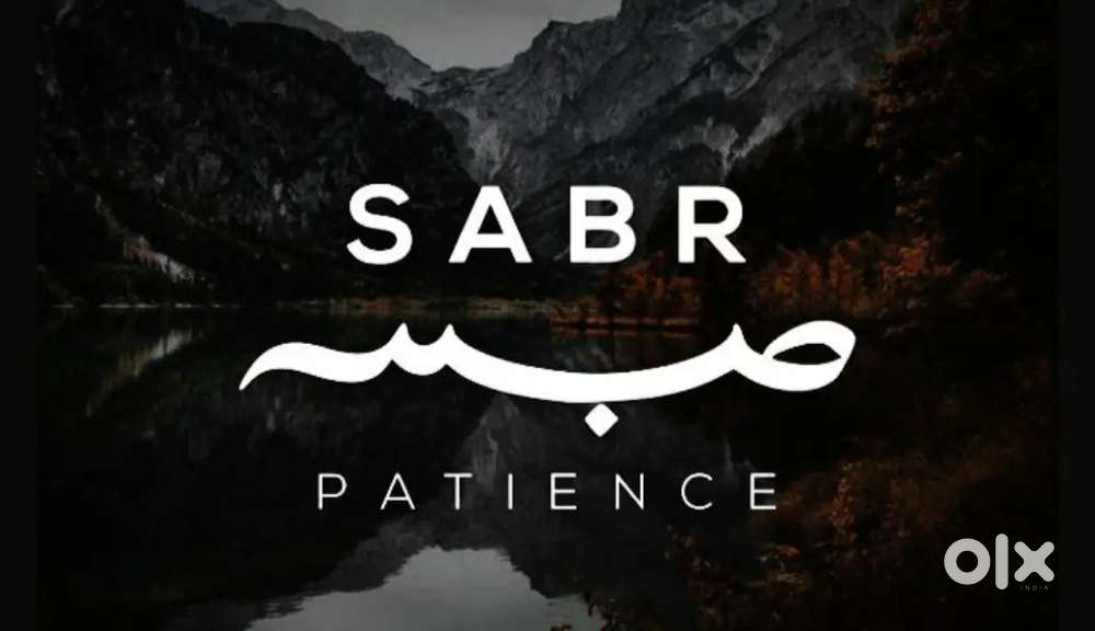 Hafiz quran islamic education