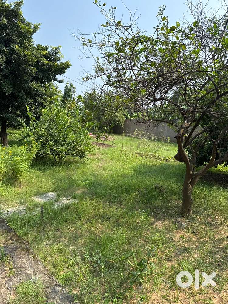 Land for Sale - Burla