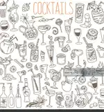 Party orders drinks and continental food home school college marriage