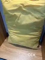 dog bed and one pillow