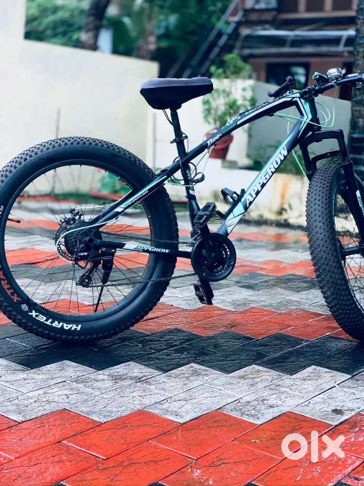 Jaguar Mountain Fat tyre Cycle