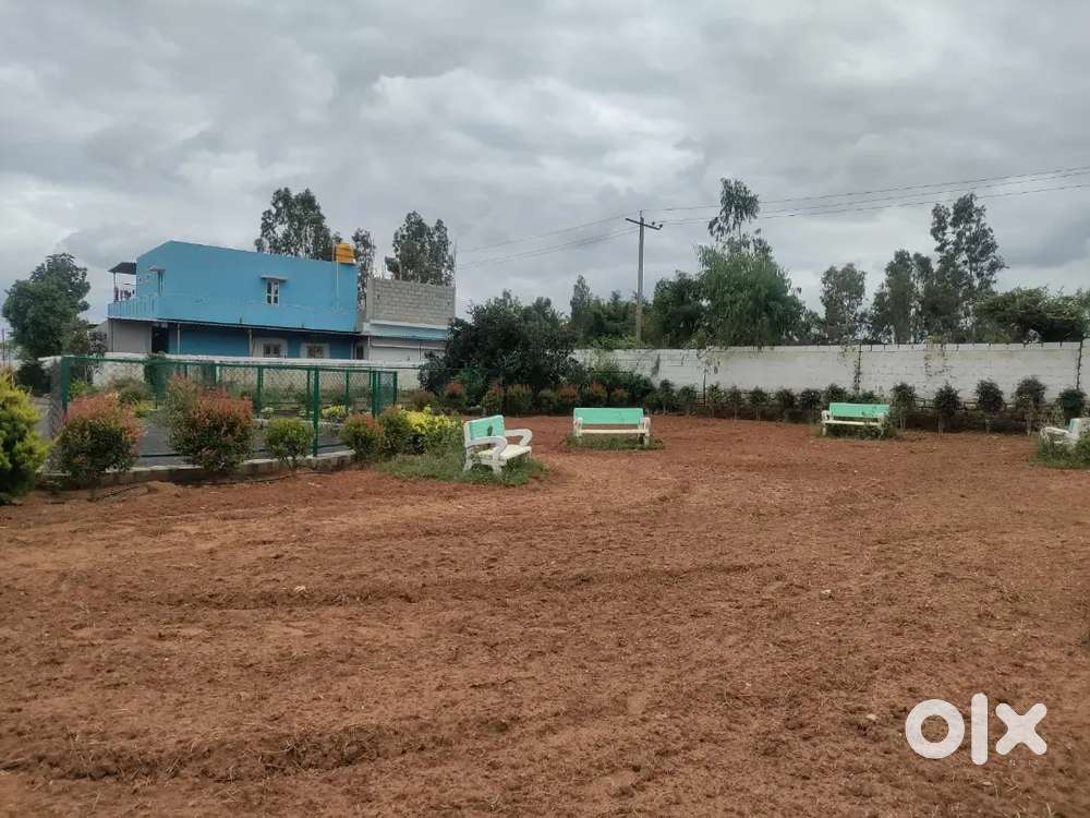 Royal sky properties