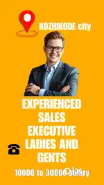 EXPERIENCED SALES EXICUTIVE WITH SALES EXPERIENCE