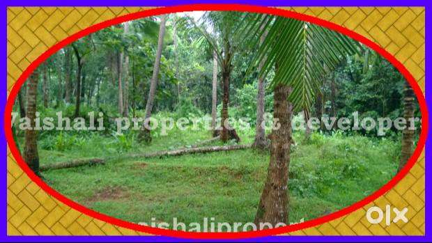 RENT - 28 cents Land for commercial use near West Hill