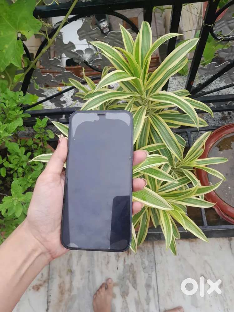 Iphone 12 for sale
