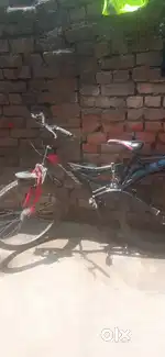 Ranger cycle