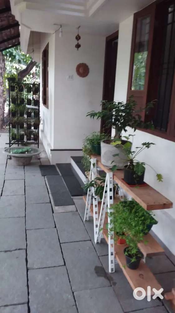 INDIPENDENT HOUSE BACHLERS OR FAMILY ALLOWED