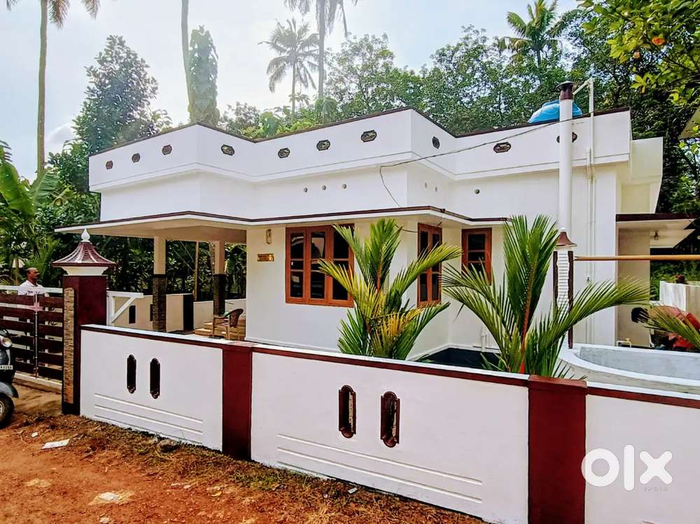 Chingavanam - Paruthumpara ( Nellikkel ) 3 Bed Room House For Rent