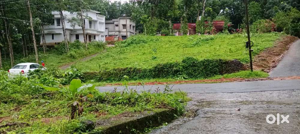 26.5 cent. Karimkunnam plantation kurishupally junction 700mt.