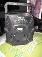 Woos speaker