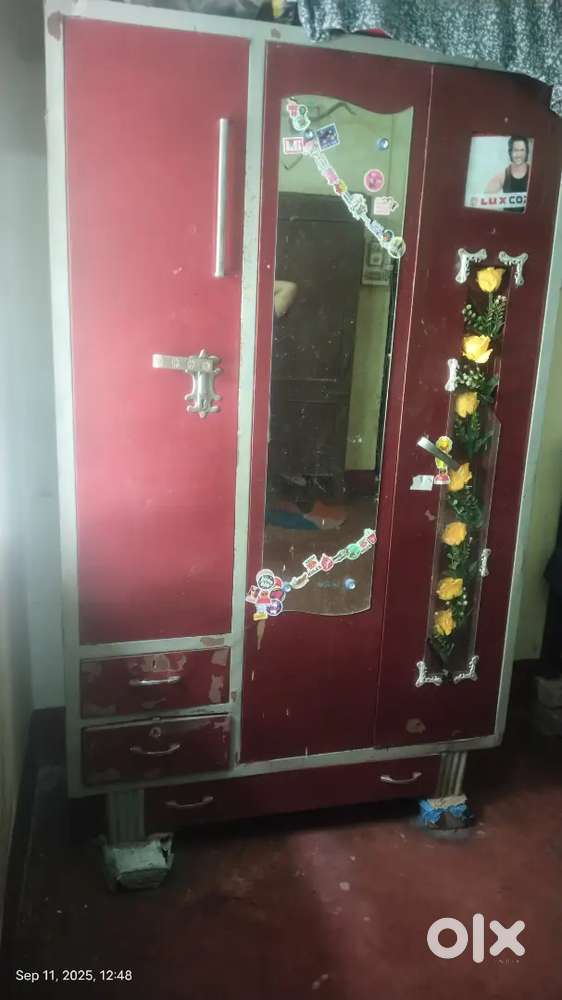 Almirah with Mirror And Design