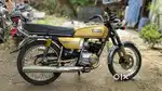 Rx 100 (gold wing)