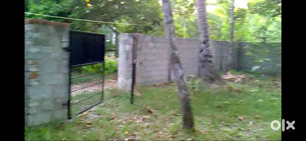 10 Residential land for sale