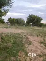 Plot for sales in  alampatti market opposite near panjapur