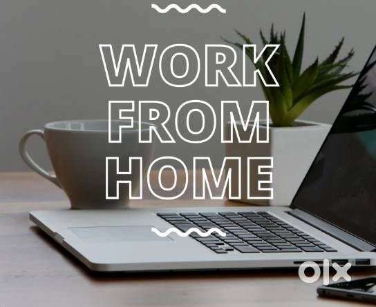 Work from home job for Email Marketer/ Whatsapp Chat Support Role