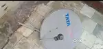 Satelite antina for dish