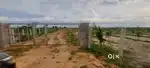 12 acres (4 acresJama+ 2 Acres Java plum+6 acres open land)