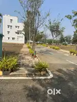 30x40 sites for sale in Salarpuria sattva Pipal tree