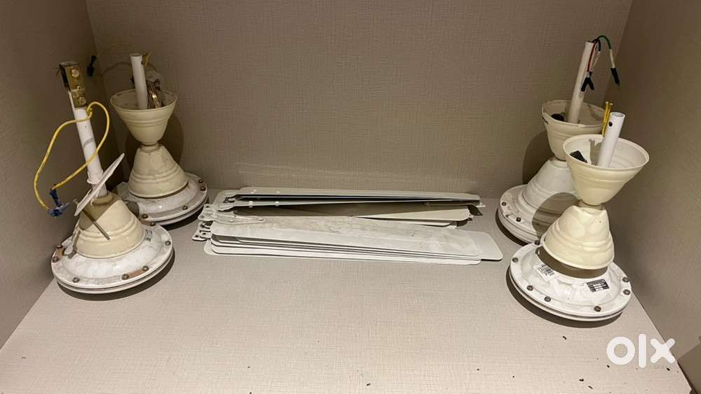 Ceiling Fan crompton