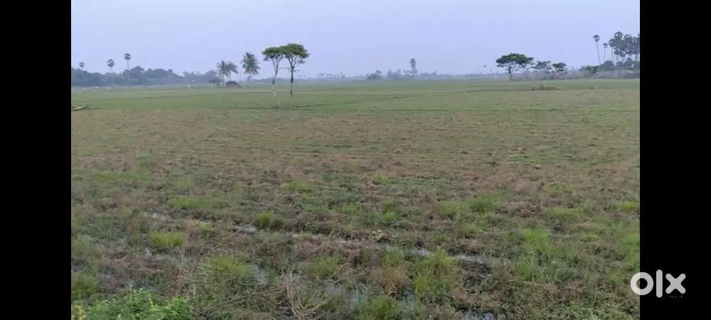 3,ekar 64 send, send 250000 jappan city back said ambur