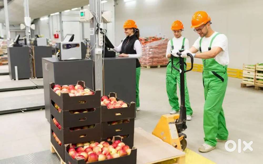 ।। पैकिंग और स्कैनिंग जॉब्स लखनऊ शहर में।। तुरंत अप्लाई करें ।।