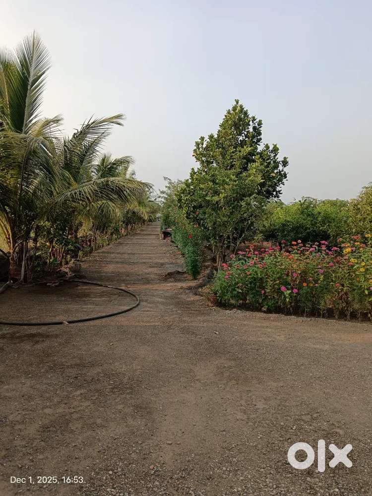 આંબા નો બગીચો 8 વીઘા ને 1ગુઠાં વીઘા વેંચવાનો છે