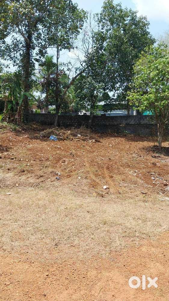 PLOT FOR SALE IN NEAR VEROOR CHURCH