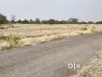 Over all land sell