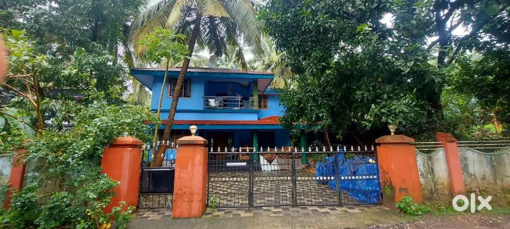 House and plot for sale