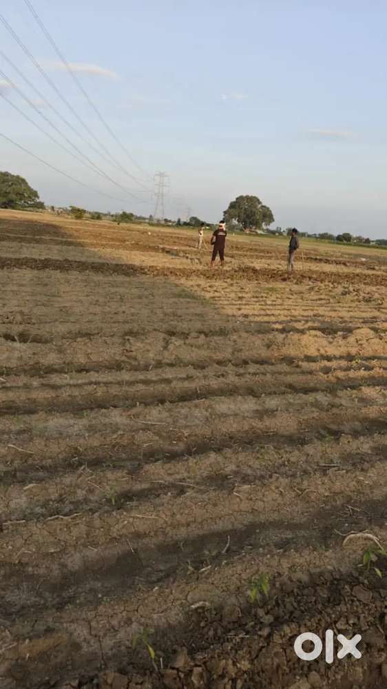 College school kuch v