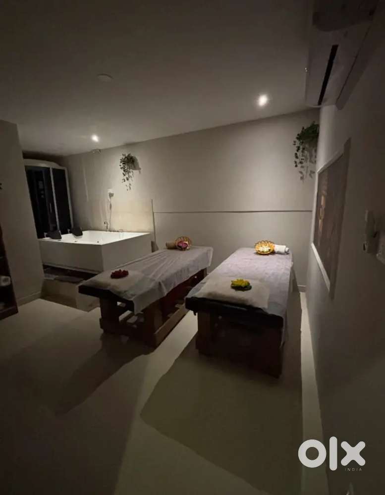 Massage Therapist