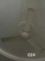 Ceiling fan