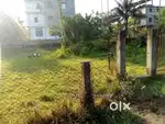 3 katha plot at Jorhat town near bypass 200 meter from main road