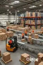 Openings for warehouse comapny