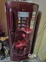 LG 190 Liter Fridge 5 star