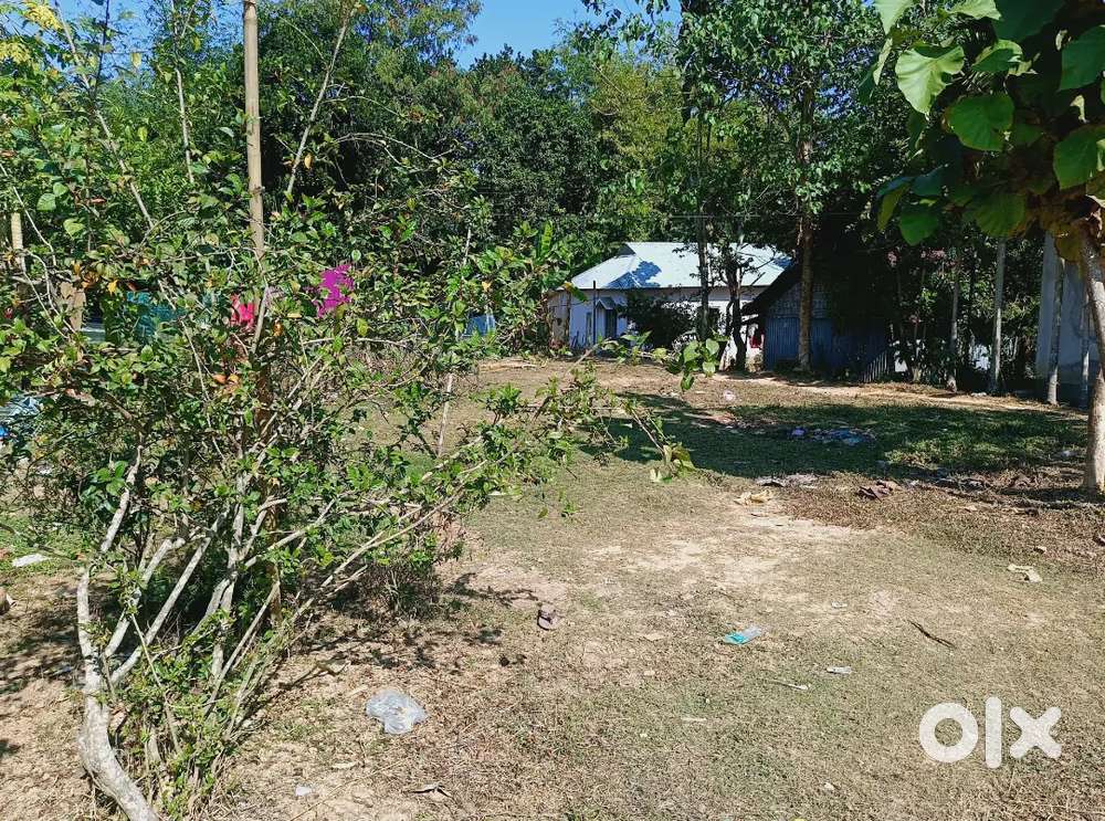 বাড়িতে গাড়ি প্রবেশ করবে 2গন্ডা জায়গা বিক্রি করা হবে