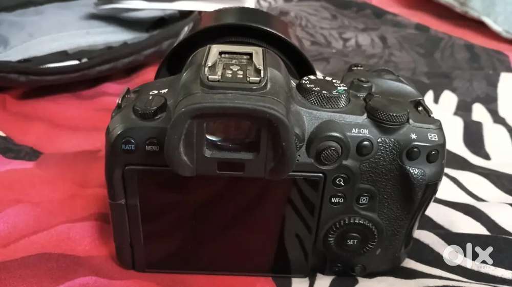 Canon r6 mark ll & 85mm 2.0