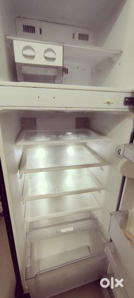 Fridge/ Refrigerator